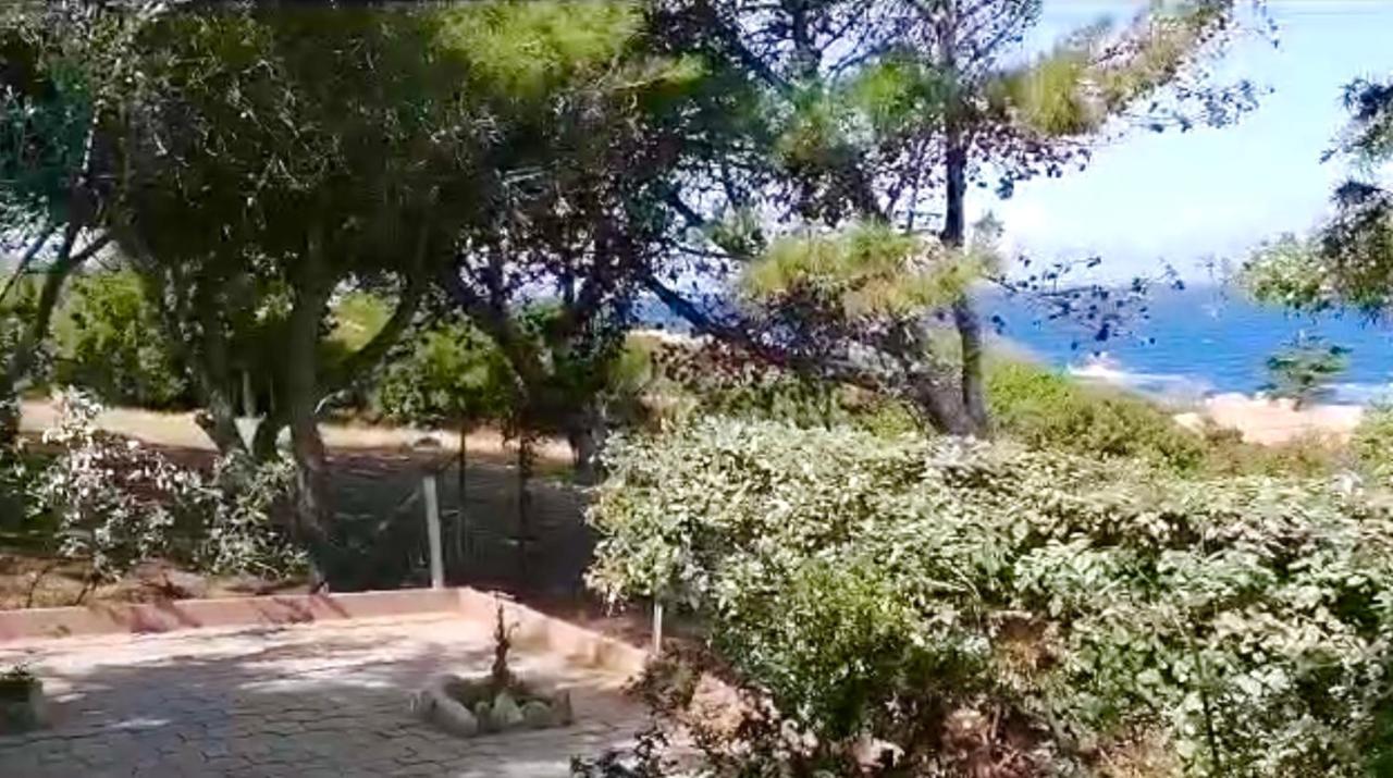 Villetta Dei Ginepri Costa Paradiso Luaran gambar